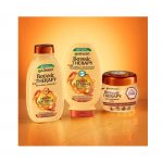 Garnier Botanic Therapy Honey Hair Combo 3